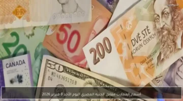 سعر الصرف الأحد.. تحديث جديد لقيمة العملات الأجنبية مقابل الجنيه المصري اليوم ينتهي بـ 11 كلمة.